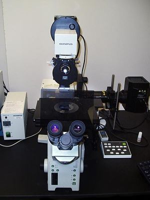 Olympus IX81 Confocal Microscope