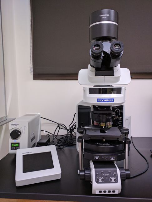 Olympus BX63 Upright Microscope