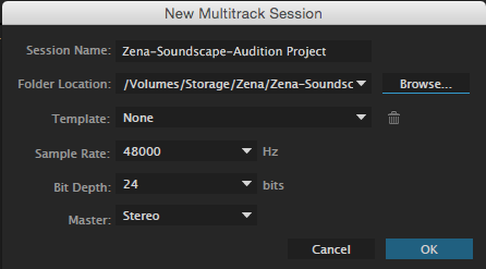 AuditionMultitrackSession.png