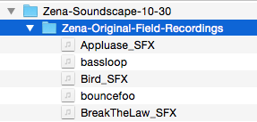 Folder of field recordings.png