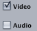 File:Audio Checkbox.png