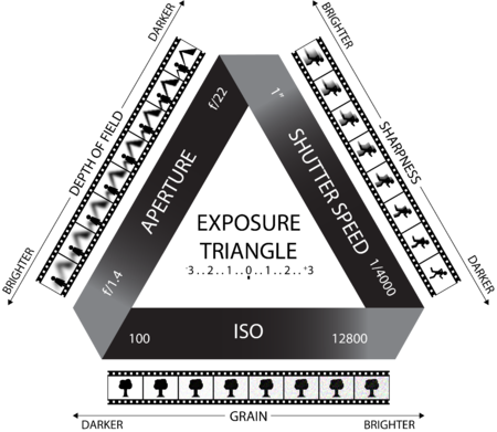 Camera Fundamentals - Help Wiki