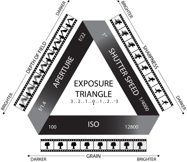 Graphic of Exposure Triangle depicting relationship of ISO, shutter speed, and aperture to light exposure for cameras. Original work created by Caelin Eddy.