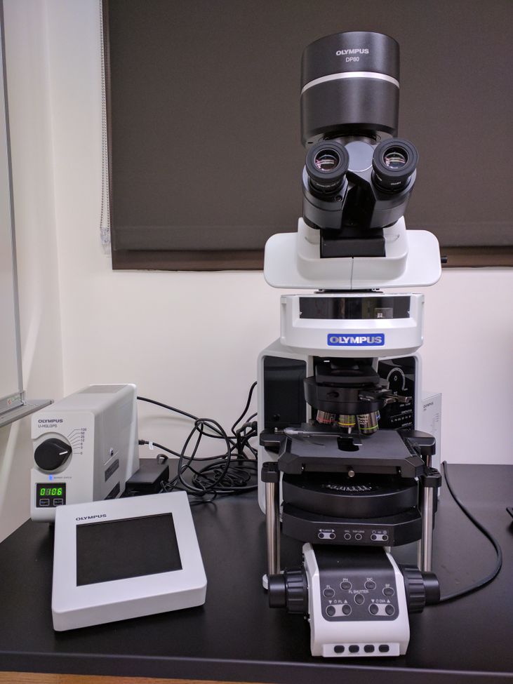 Olympus BX63 Upright Microscope - Help Wiki