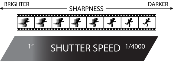 Graphic displaying exposure qualities of shutter speed. Bigger numbers equate to longer exposures resulting in more light and motion blur. Original work by Caelin Eddy.