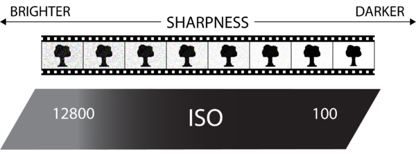 Graphic displaying exposure qualities of ISO. Original work by Caelin Eddy.