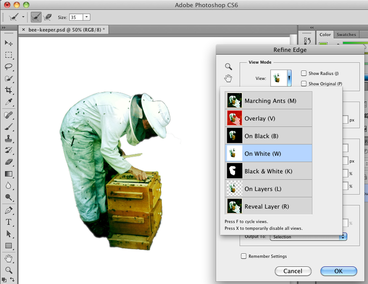 Extract an object from the background Help Wiki
