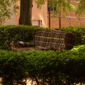 Contributors Lounge Couch.jpg