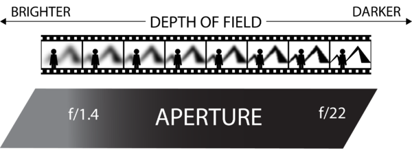 Graphic displaying exposure qualities of aperture. Original work by Caelin Eddy.